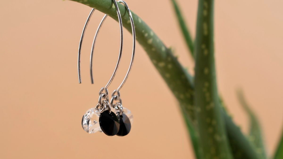 Hoop Earrings