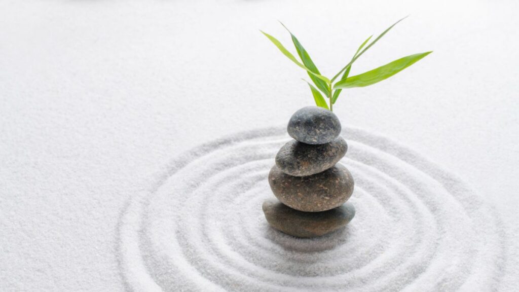 Mindfulness in Addiction Recovery: How Present-Moment Awareness Supports Healing